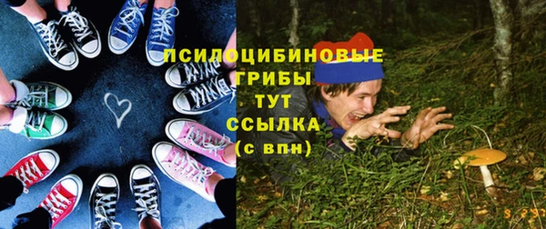 шишки Краснослободск