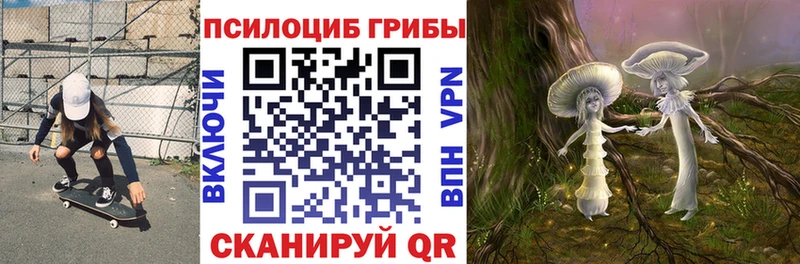 Псилоцибиновые грибы мухоморы Лесосибирск