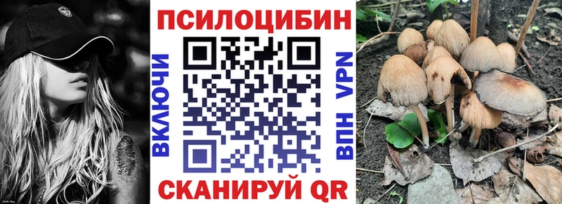 Купить где Лесосибирск Галлюциногенные грибы Cubensis