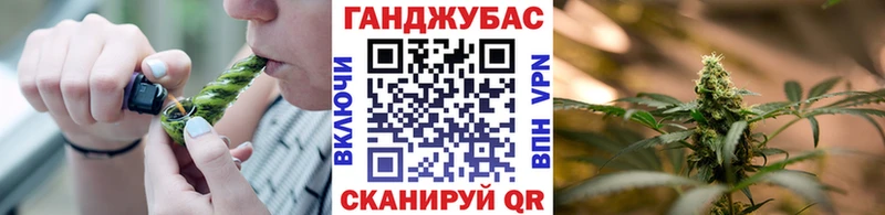 Бошки Шишки SATIVA & INDICA Лесосибирск